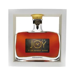 Joÿ - Bas-Armagnac A Un Moment Donné 10 år - 50cl